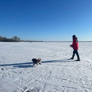 Meet your Posher, Tonee